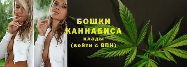 сатива Абаза