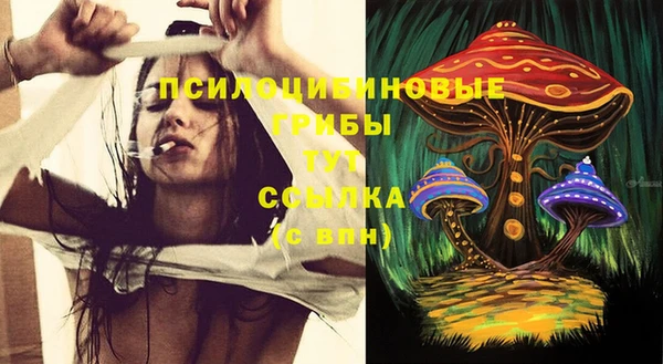 ПСИЛОЦИБИНОВЫЕ ГРИБЫ Алзамай
